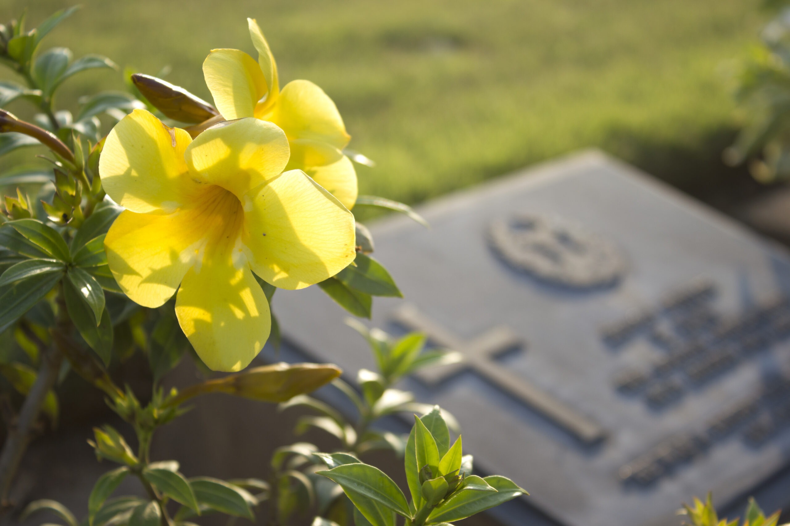 Discover how a wrongful death lawyer in Middletown can help you recover damages after the loss of a loved one.